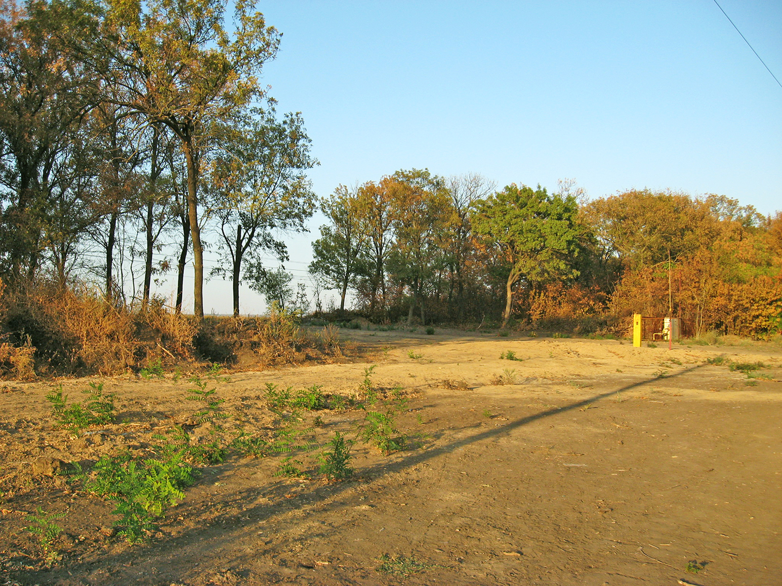 Впереди поля